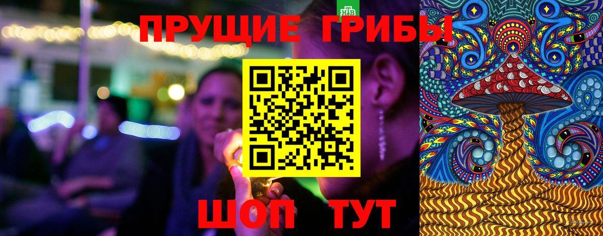 Егорьевск  Галлюциногенные грибы Cubensis  Вход с VPN  Галлюциногенные грибы Cubensis 