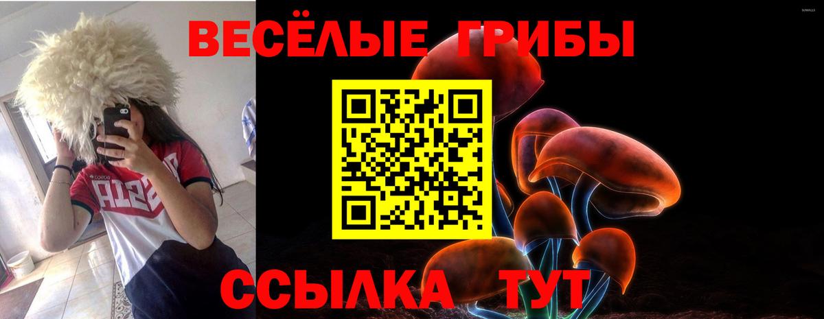 Галлюциногенные грибы ЛСД Егорьевск